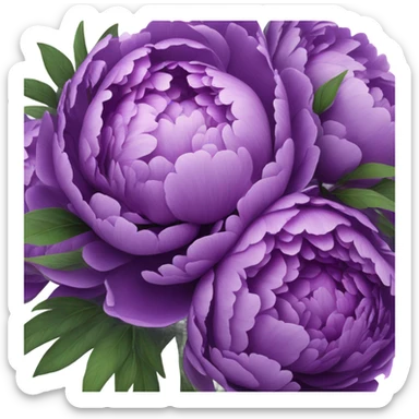 purple Peonies in bouquet  sticker