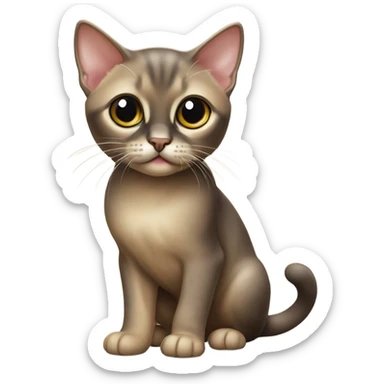 Burmese kitten sticker