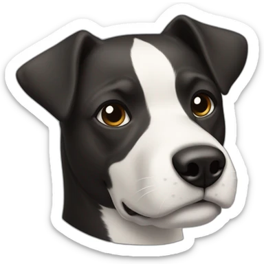 dog, short-hair, black, white-chest, white-stripe-down-face, black-snout, mcnab sticker