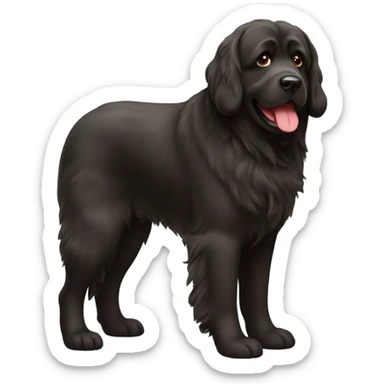 Newfoundland dog with a red color  sticker