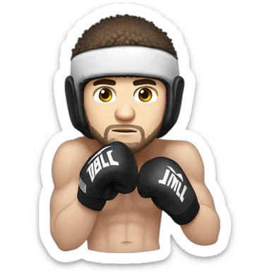 khabib nurmagomedov boxing  sticker