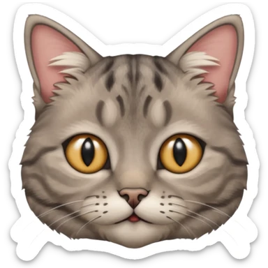 scottish cat with ears folded down sticker