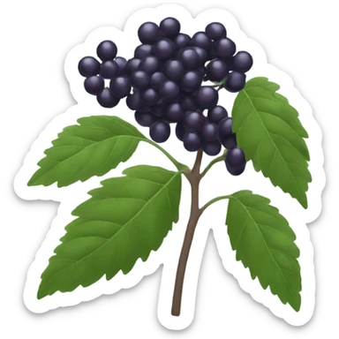 elderberry sticker