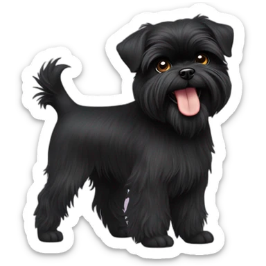 affenpinscher-young-black sticker