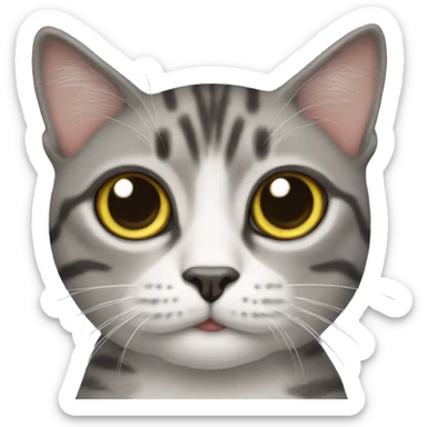 with cat with googly eyes sticker