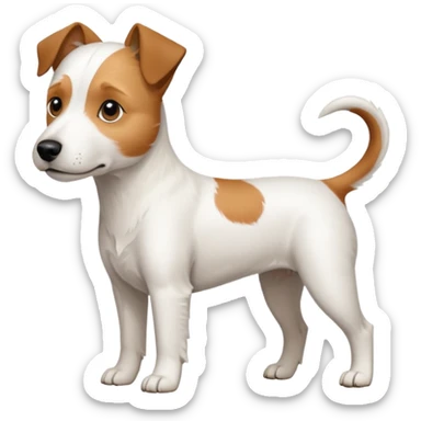 a full body white parson russell looking dog the size of a kelpie with light brown ears and a light brown patch on one eye and a large snout sticker
