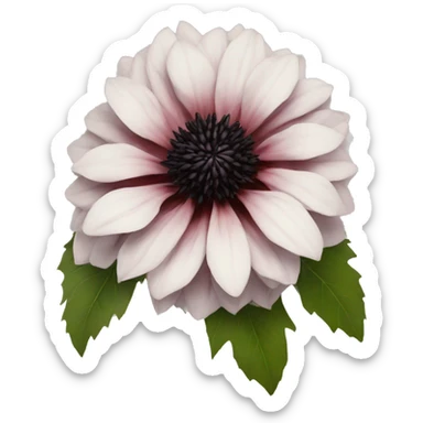 Black dahlia flower sticker