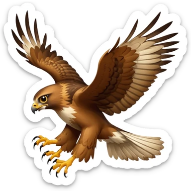 Hawk getting cat sticker