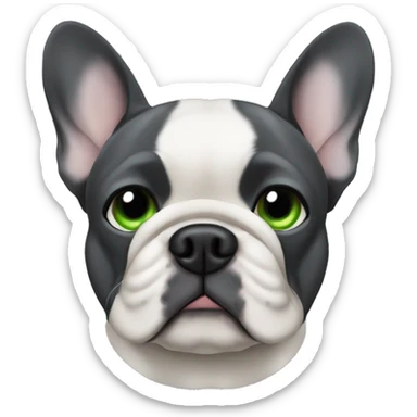 Male French Bulldog, dark grey, green eyes and one ear is floppy. sticker
