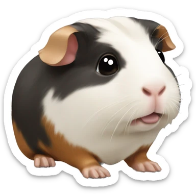 Guinea pig sticker