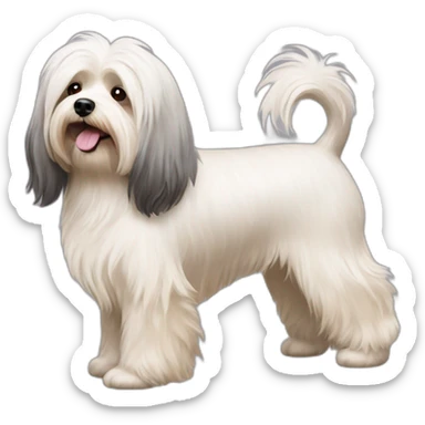 havanese dog walk sticker