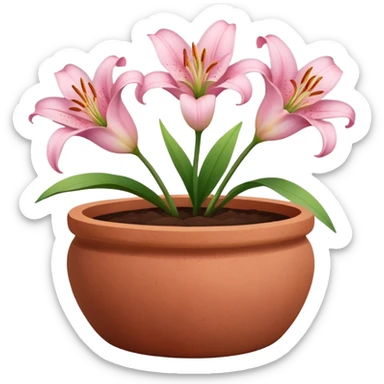 light pink lily flowers in a clay pot sticker