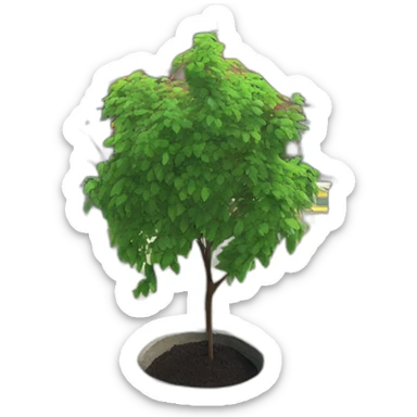 sapling in brooklyn sticker