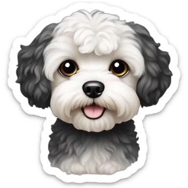 Maltipoo dog black colour  sticker