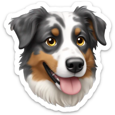 two australian shepherd dogs sticker