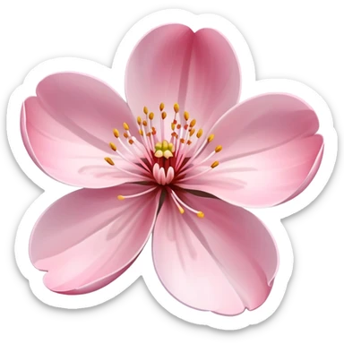 cherry blossom flower with delicate pink petals sticker