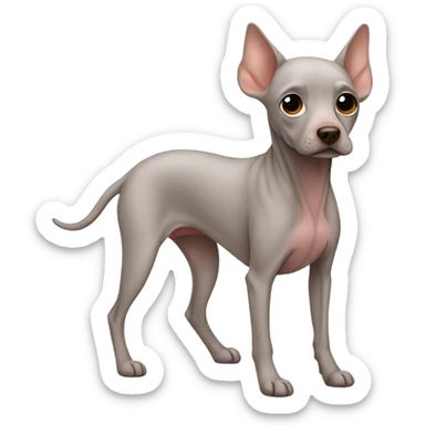 hairless dog sticker