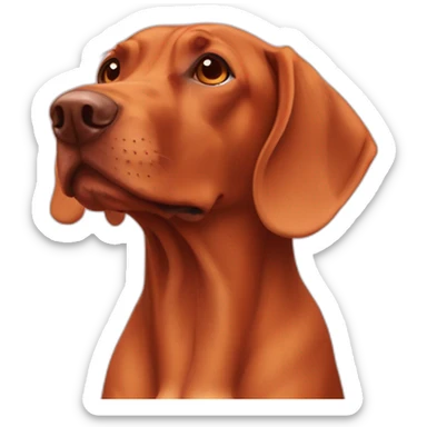 dog vizsla in love sticker