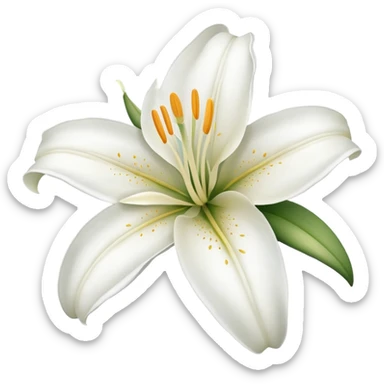 lily flower  sticker