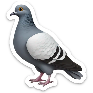 Pigeon playing cards  sticker