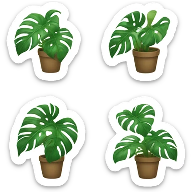 Monstera plants  sticker
