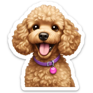 Golden toy poodle dog with tongue sticking out  sticker