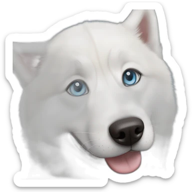 White Siberian husky smile  blue eyes sticker