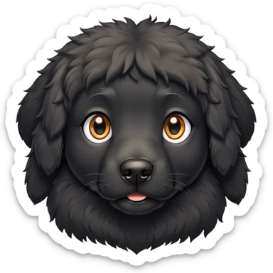 black dog with fluffy slightly curly coat, white chest, looking forward sticker