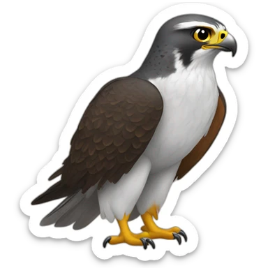 falcon sticker