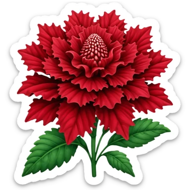 celosia plant flower sticker