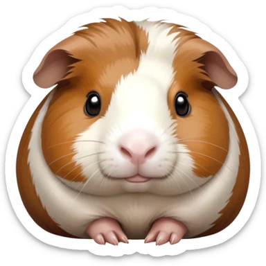 Cinematic Noble Brown and White Banded Guinea Pig Portrait Emoji, Poised and regal, with a compact, chubby build and a uniquely patterned coat of warm brown and crisp white banding, deep-set soulful dark eyes, Simplified yet sharp and sophisticated features, highly detailed, glowing with a soft, dignified glow, high shine, intelligent and charming, stylized with an air of distinctive elegance, focused and attentive, soft glowing outline, capturing the essence of a watchful and confident companion, so majestic it feels as though it could scurry out of the screen with effortless authority! sticker