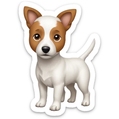 a full body white jack russel looking dog the size of a kelpie with light brown ears and a light brown patch on one eye, flopped down ears and a large snout sticker