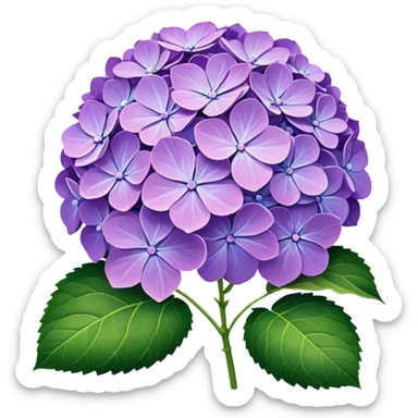 Purple Hydrangea sticker