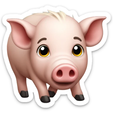 Wild pigs sticker