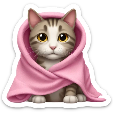 cat wearing blanket pink sticker