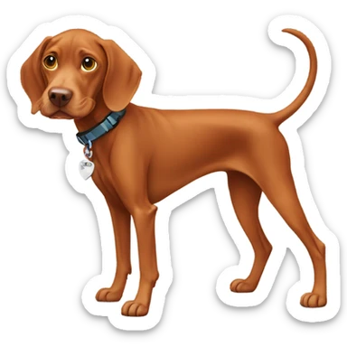 happy vizsla with dog collar, full body sticker