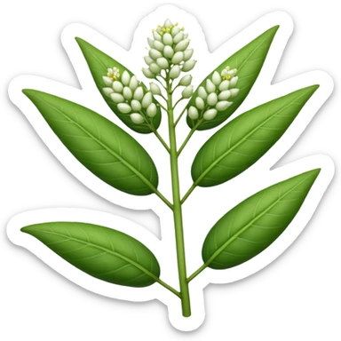 Milkweed sticker