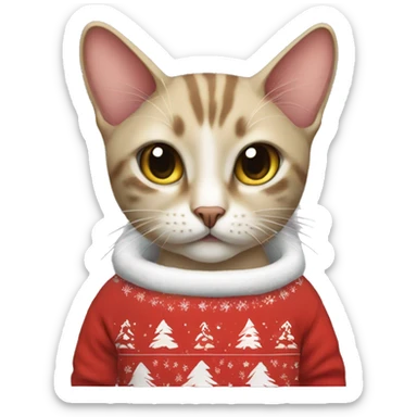 Siam cat wearing christmas Sweatshirt  sticker
