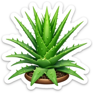 Aloavera sticker