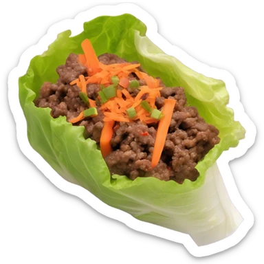 2 Beef lettuce wraps with shredded carrot sticker