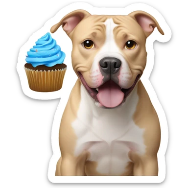 Pitbull with blue eyes and blonde fur with cupcake sticker
