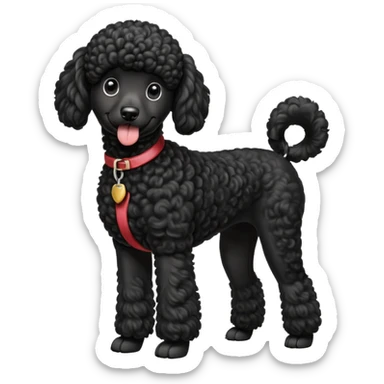 A high-resolution digital illustration of a black poodle in a clean, semi-realistic style. The poodle is shown from the chest up, facing forward with a slight tilt of the head to the left, tongue out playfully. sticker