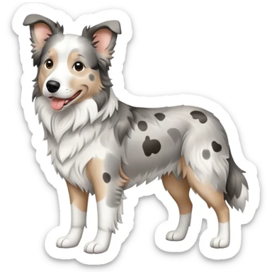 Grey spotted Merle Border Collie dog full body sticker