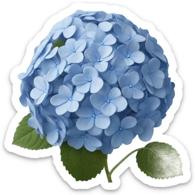 blue hydrangea  sticker