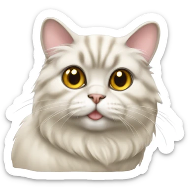 Chinchilla Persian yellowish cat sticker