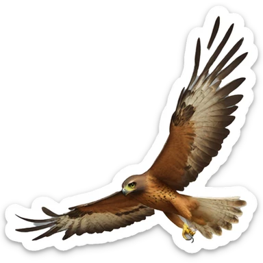 HAWK sticker