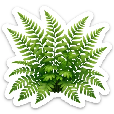 A cluster of soft green ferns growing under shaded trees.









































 sticker