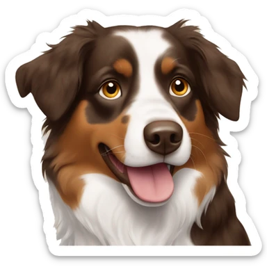 brown tri australian shepherd  sticker