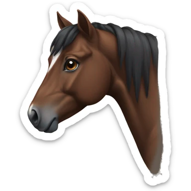 Brownish black horse with white mark on her forehead and a browner nose sticker