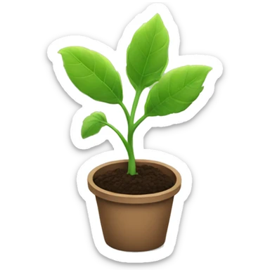 Seedling sticker